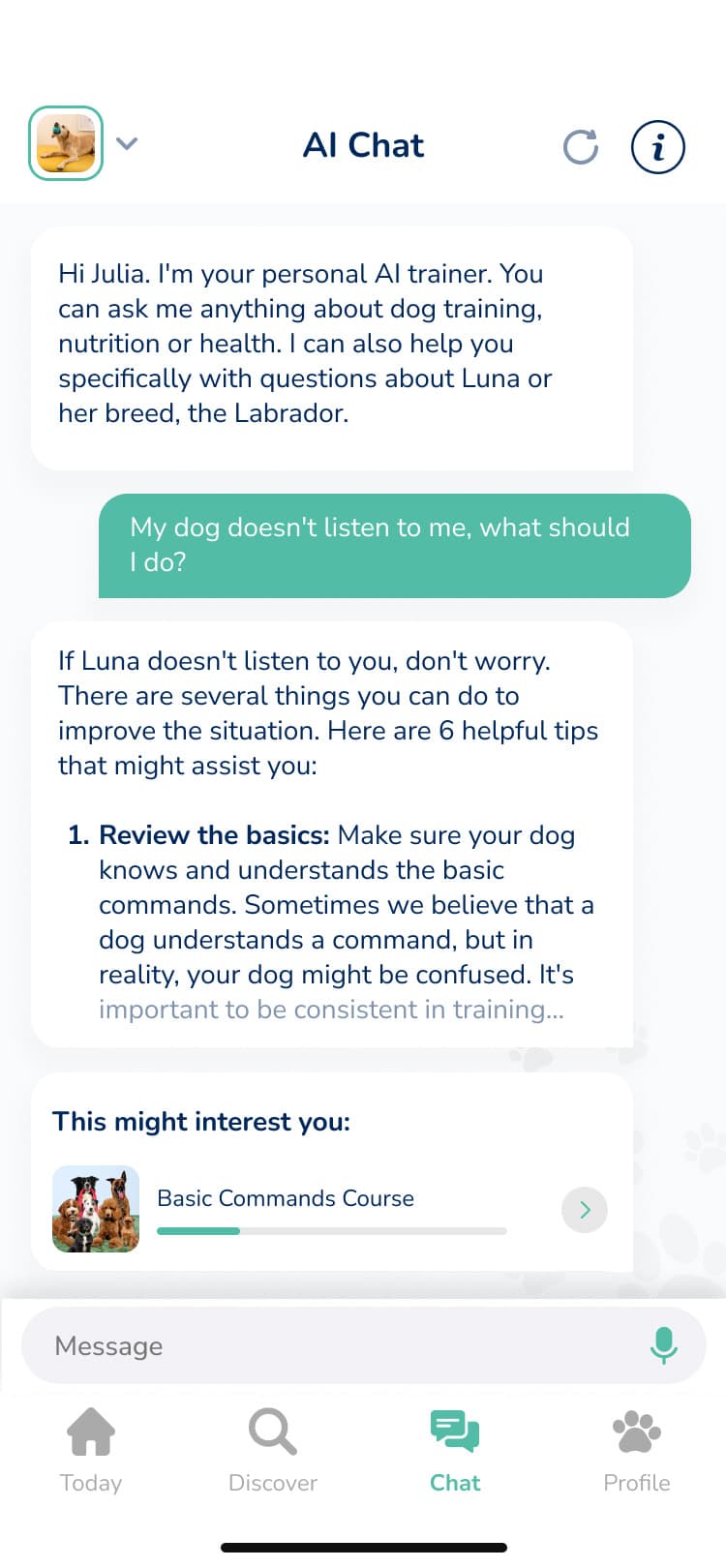 Hundeo Hundetrainer Chat