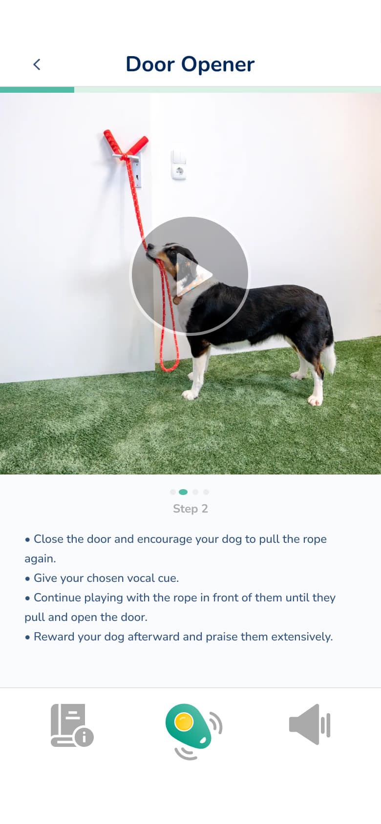 Hundeo Trainingsvideos