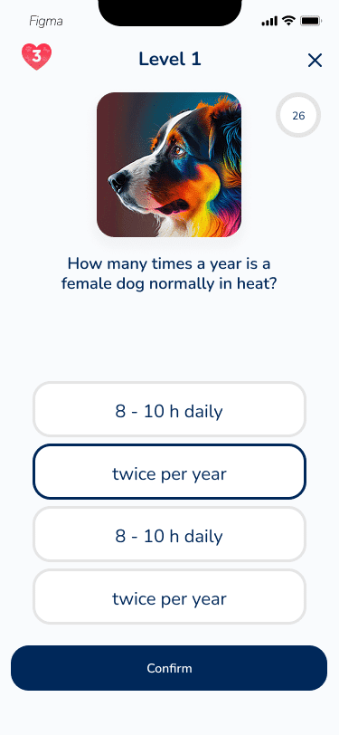 Hundeo Quiz