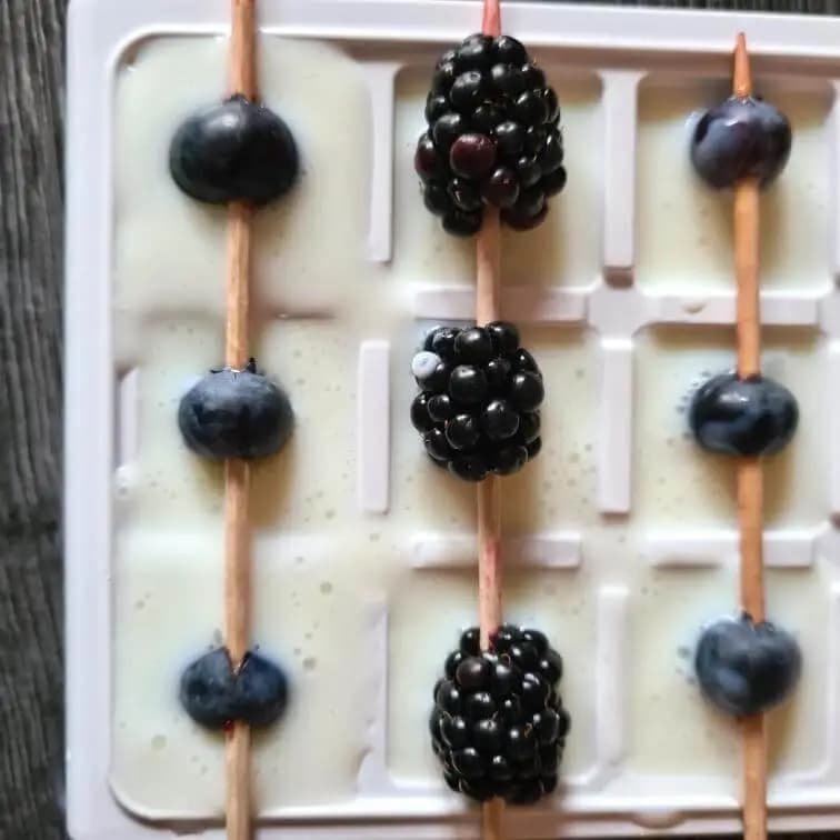 Blaubeeren-Quark-Matte