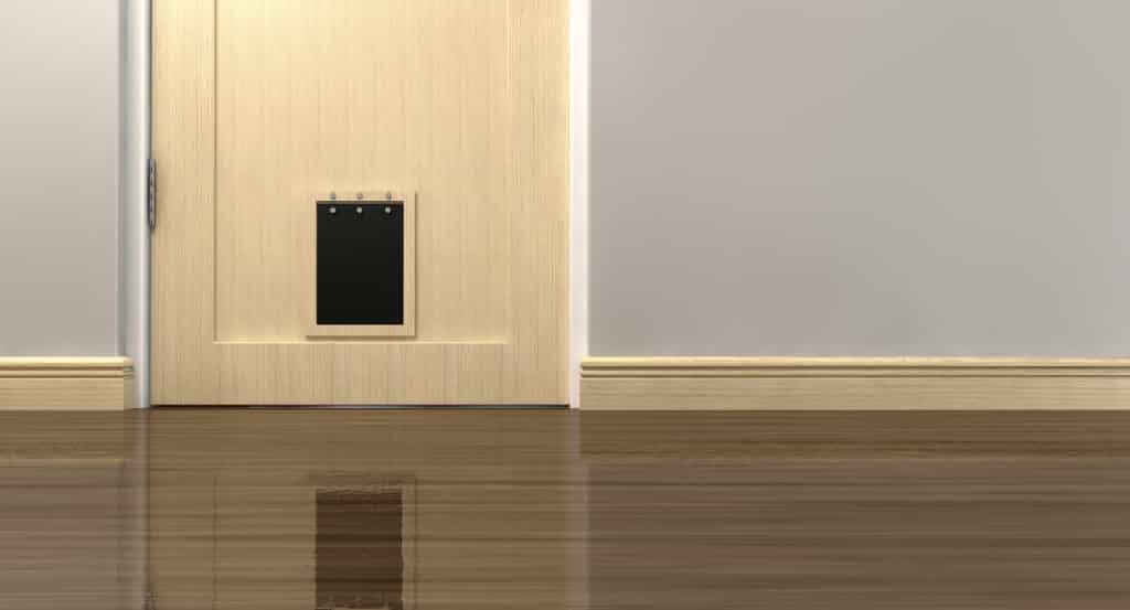 Eine helle Holztür mit einer kleinen schwarzen Hundeklappe ist in eine schlichte beige Wand eingelassen. Der Boden ist glänzend und reflektiert einen Teil der Tür und Klappe, wodurch ein sauberer und minimalistischer Look entsteht, ideal für die Präsentation der besten Marken.