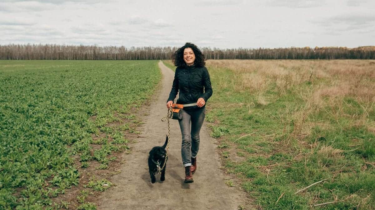 Eine Person geht mit einem schwarzen Hund auf einem Feldweg spazieren und übt Leinenführigkeit. Die Leine hängt locker durch.