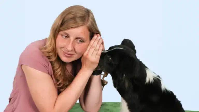 Eine Frau mit langen braunen Haaren hockt neben einem schwarz-weißen Hund und hält ihre Hand an sein Ohr. Der Hund schaut sie aufmerksam an.