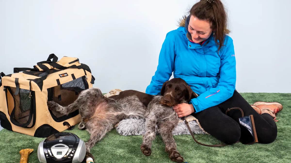 Eine Frau in einer blauen Jacke sitzt mit ihrem entspannten braun-weißen Hund auf einem grünen Teppich und streichelt ihn.