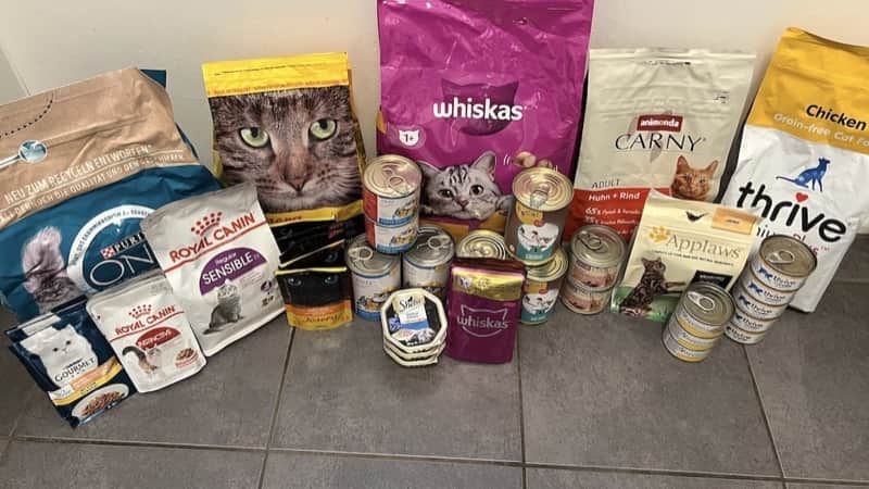 Alle 10 Katzenfutter-Marken im Test