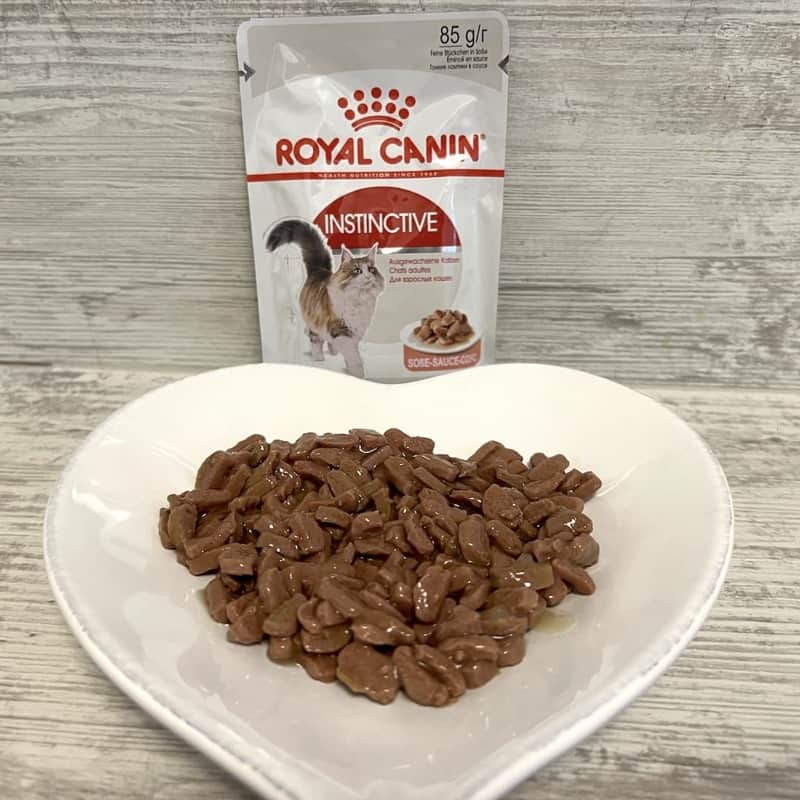 Royal Canin Instinctive Nassfutter im Test mit Beutel und Futter auf Herzteller