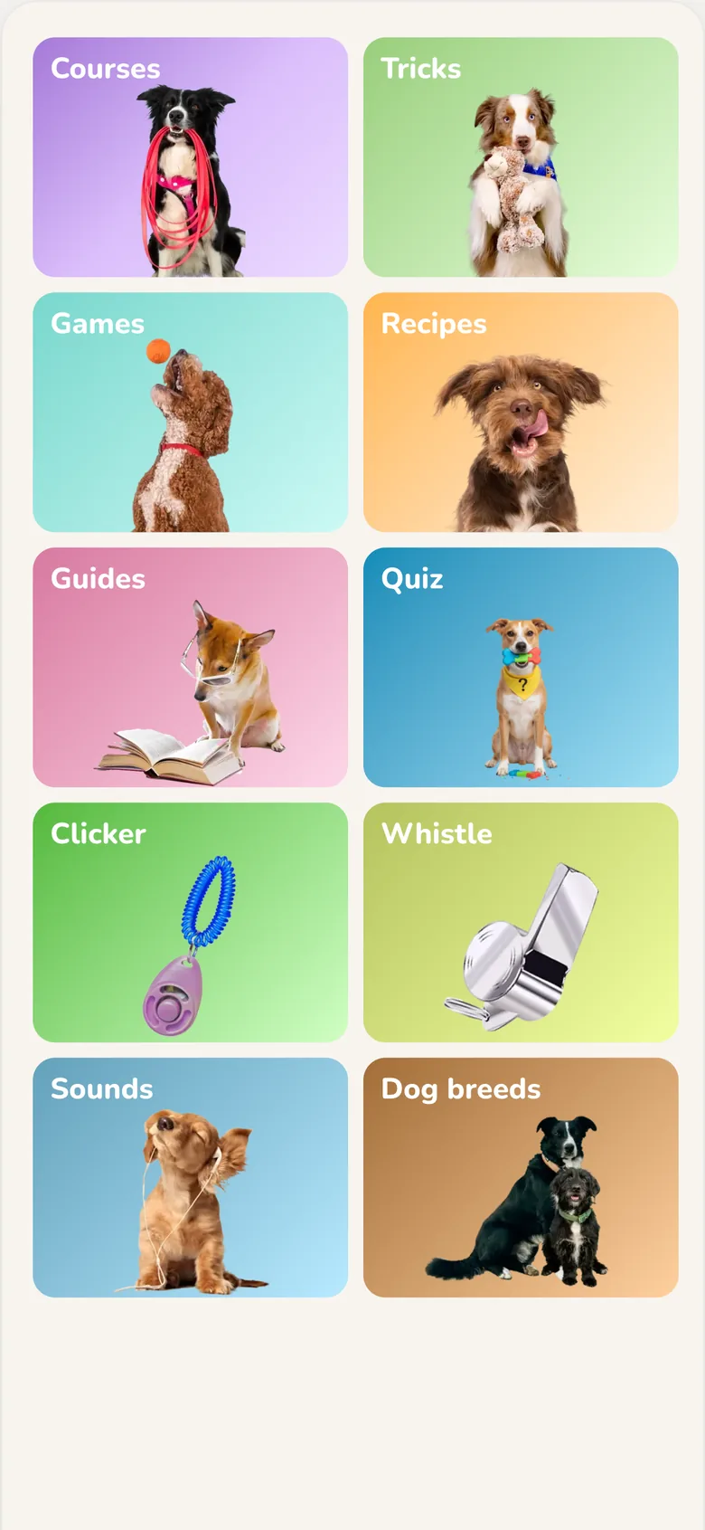 Hundeo App: discover area with courses, tricks, games, and guides