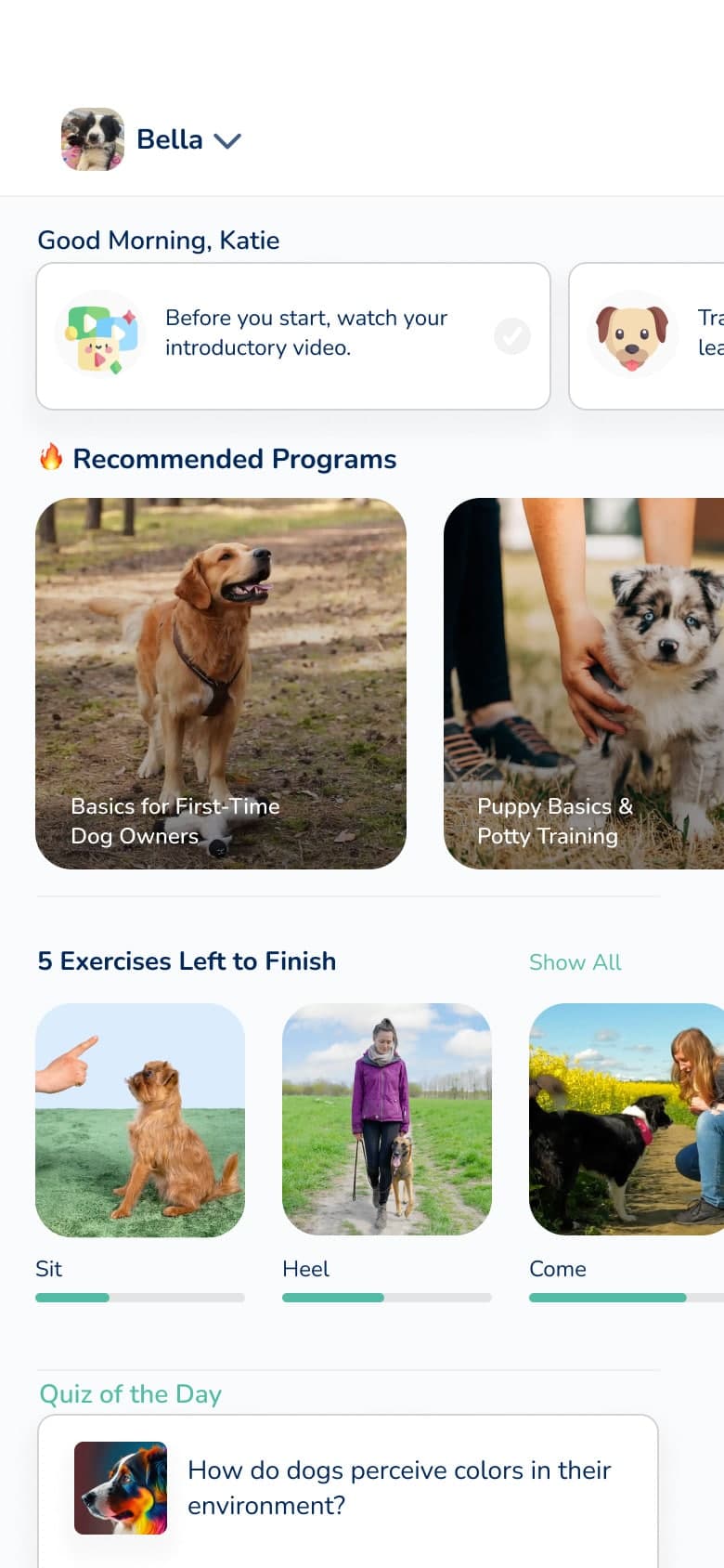 Hundeo App: training plan and recommended exercises