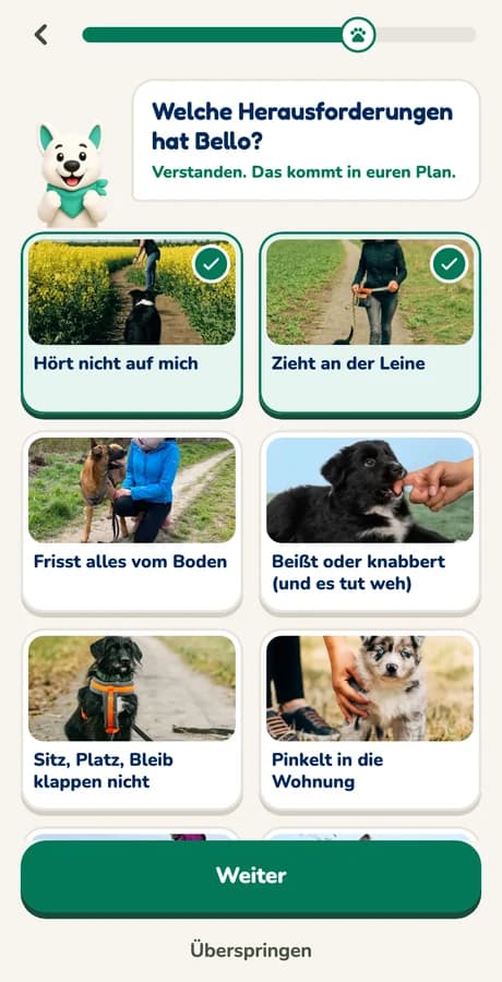 Frage in der Hundeo App mit Antworten zum Antippen