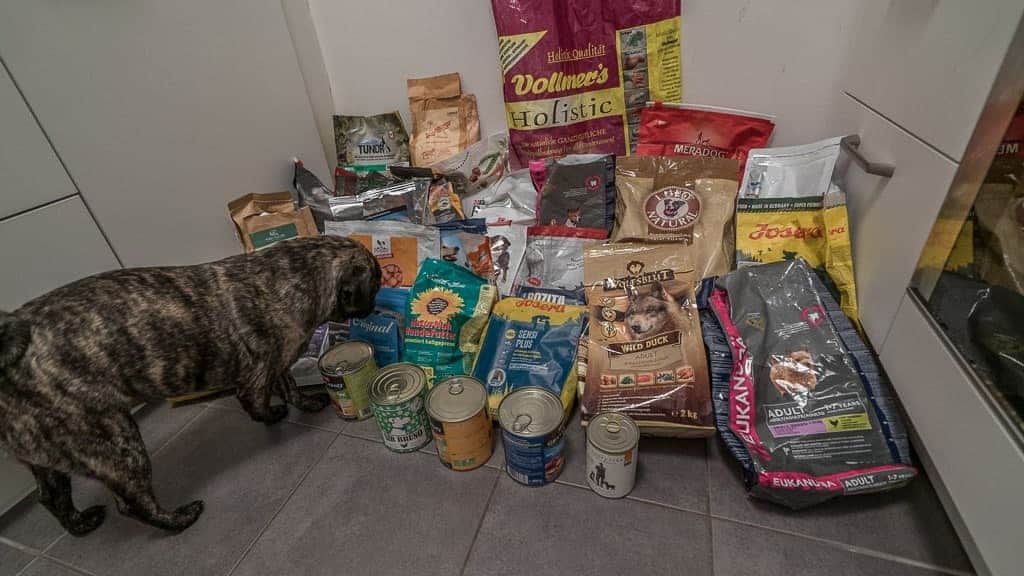 Ein neugieriger Hund schnüffelt an einer Auswahl von Tierfutterpackungen und -dosen, darunter auch hypoallergenes Hundefutter.